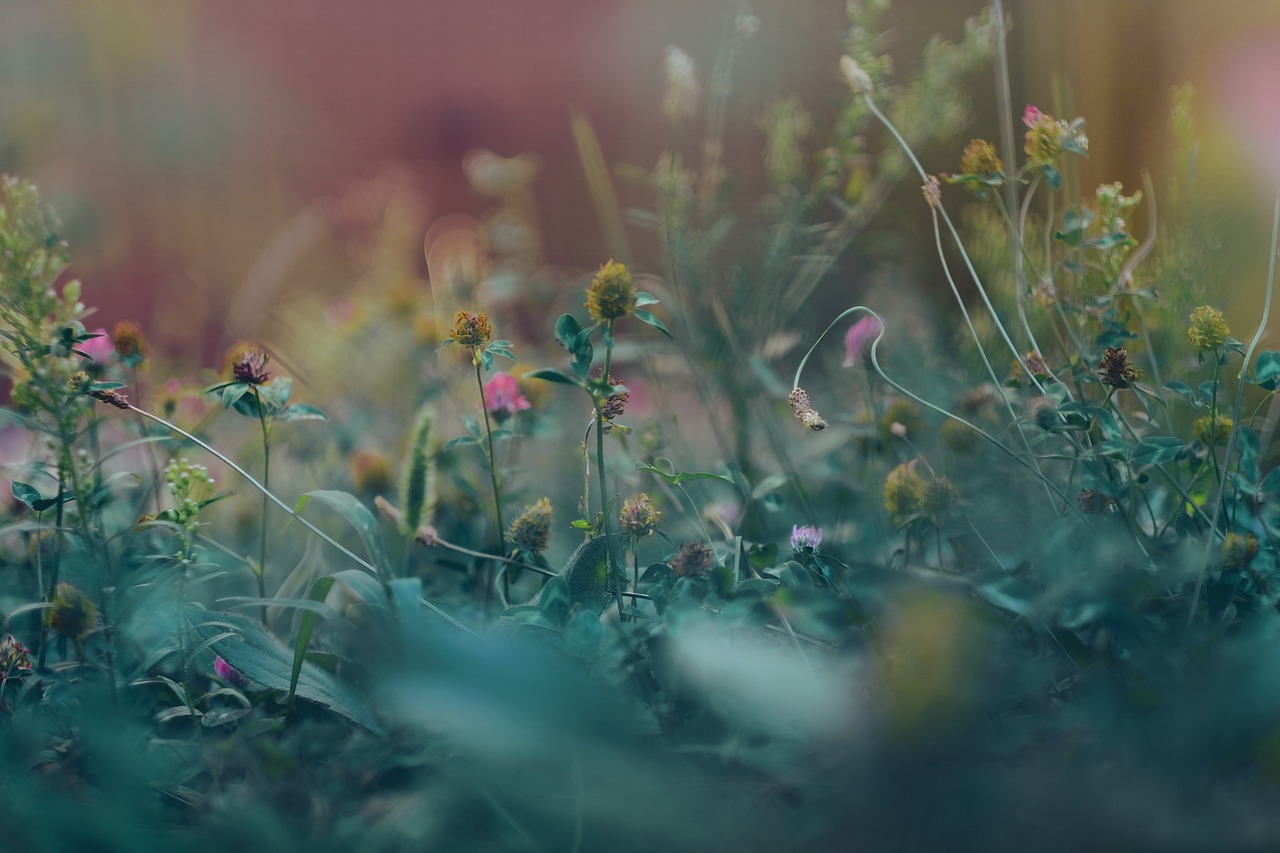 Fostering Resilience in Kids - A Guide for Educators
